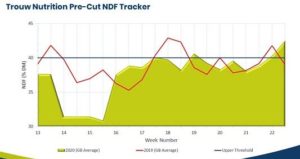 NDF Tracker