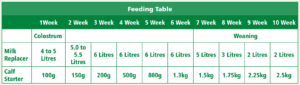 Weaning Table