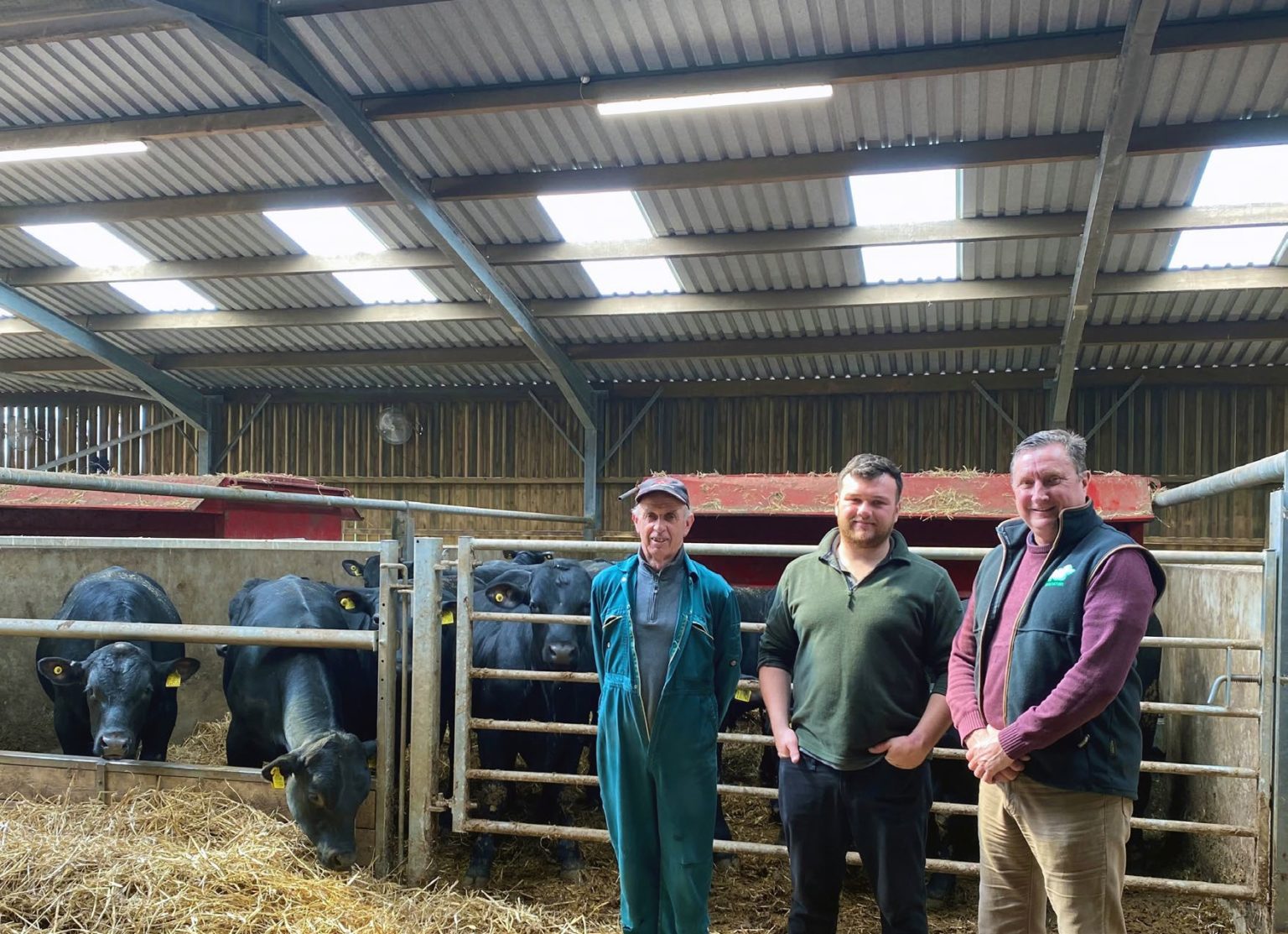 Bull Beef Finishing System provides success for Welsh Young Farmer