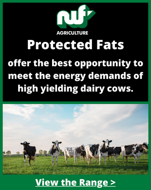 Protected Fats offer the best opportunity to meet the demands of high performaing cows.