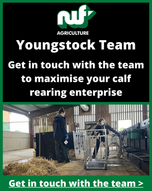 Youngstock Team